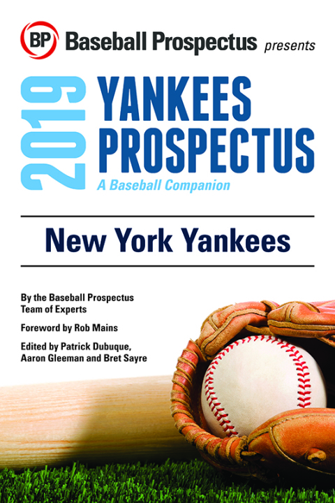 Cover image for book New York Yankees 2019: A Baseball Companion