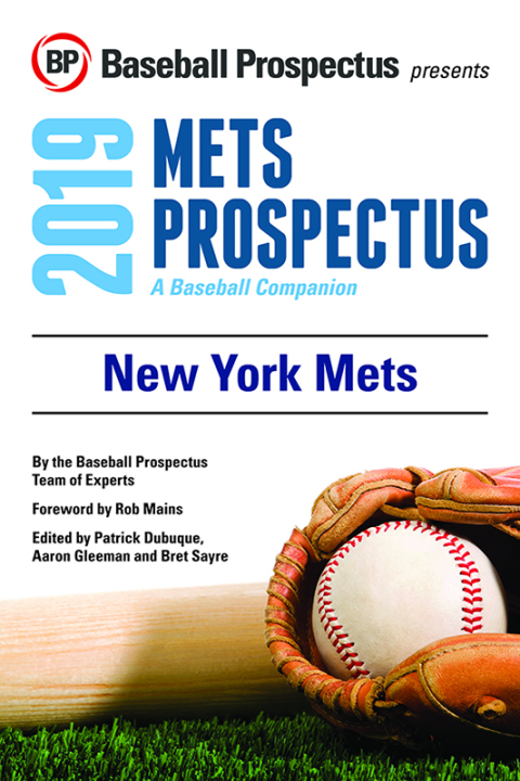 Cover image for book New York Mets 2019: A Baseball Companion