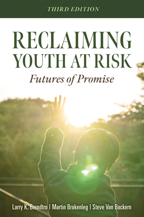 Cover image for book Reclaiming Youth at Risk