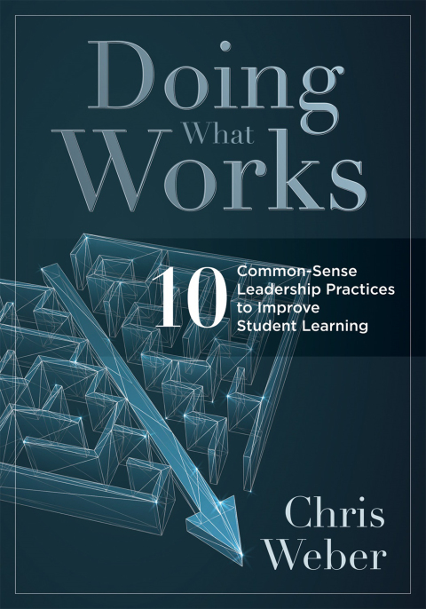 Cover image for book Doing What Works