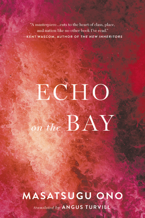 Cover image for book Echo on the Bay