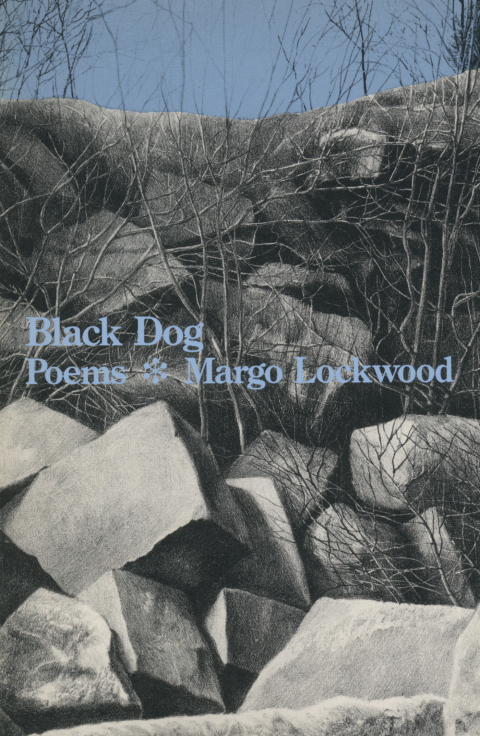 Cover image for book Black Dog