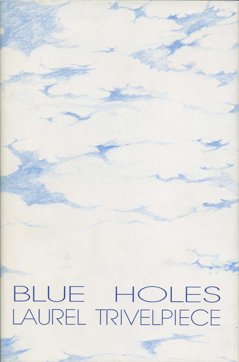 Cover image for book Blue Holes
