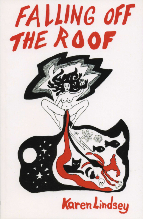 Cover image for book Falling off the Roof