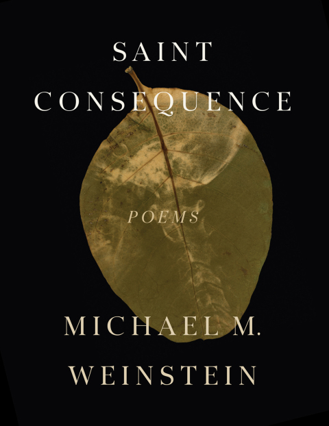 Cover image for book Saint Consequence