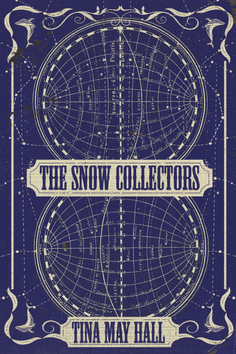 Cover image for book The Snow Collectors