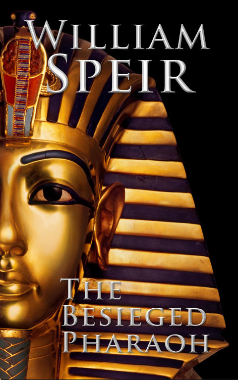 Cover image for book The Besieged Pharaoh