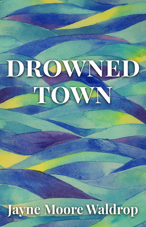 Cover image for book Drowned Town