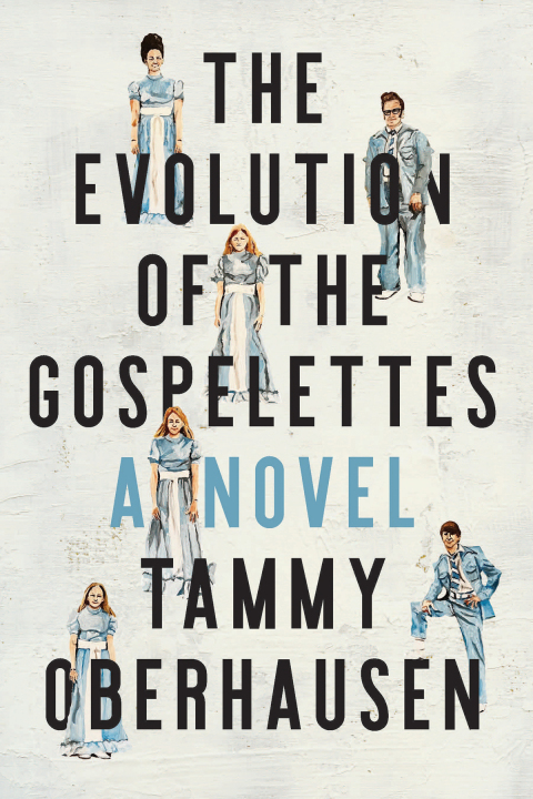 Cover image for book The Evolution of the Gospelettes