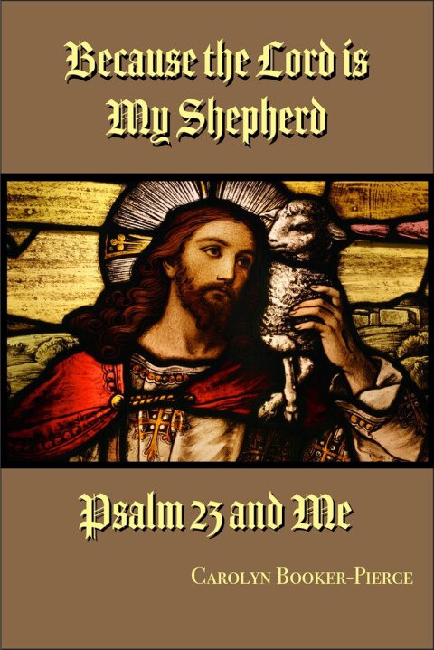 Cover image for book Because the Lord is My Shepherd