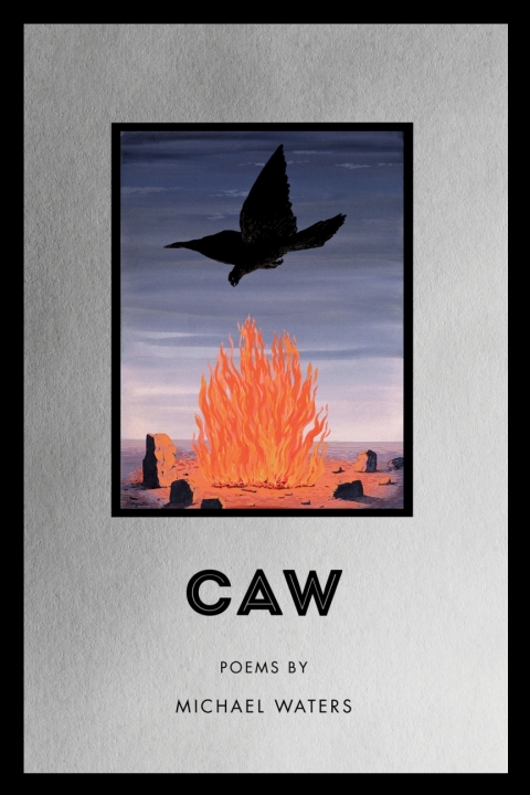 Cover image for book Caw