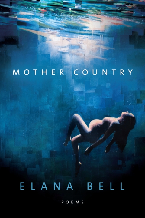 Cover image for book Mother Country