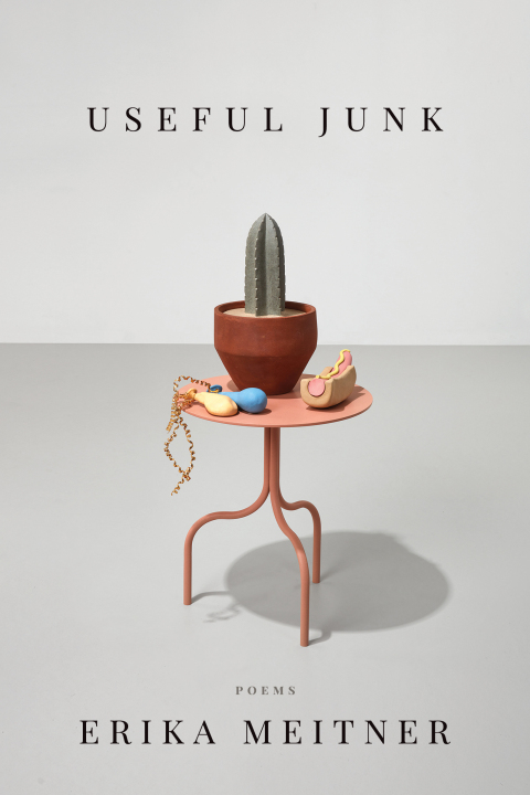 Cover image for book Useful Junk