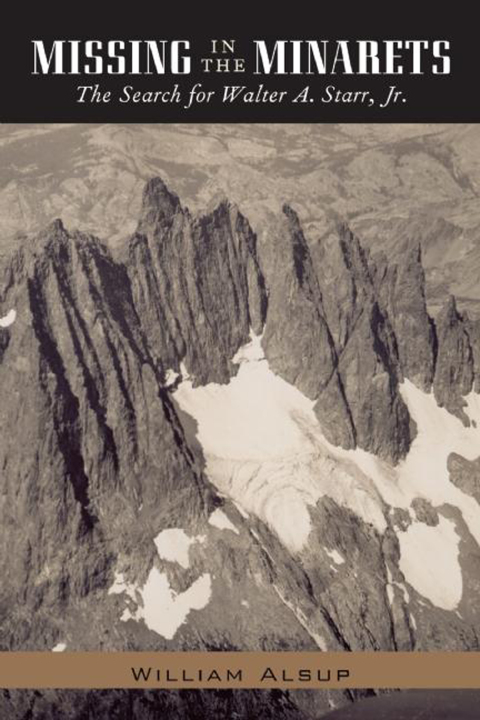 Cover image for book Missing in the Minarets