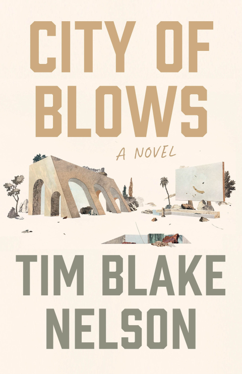 Cover image for book City of Blows