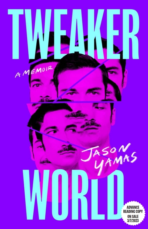 Cover image for book Tweakerworld