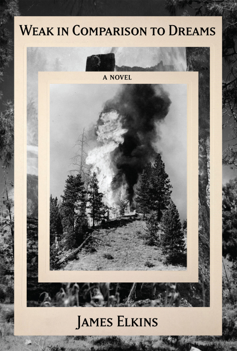Cover image for book Weak in Comparison to Dreams