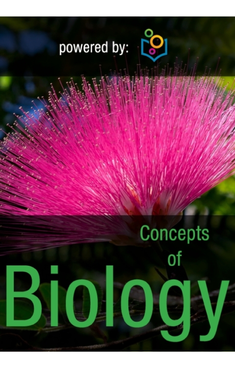 Principles of Biology 