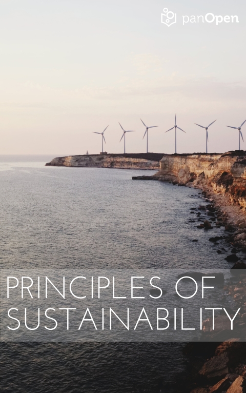 Principles of Sustainability 