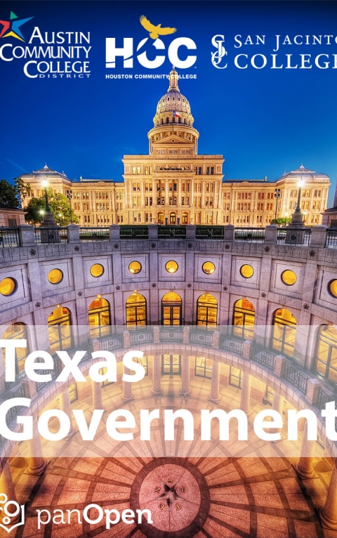 Texas Government 