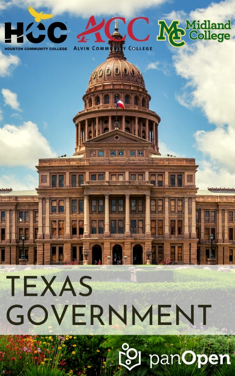 Texas Government 2e 