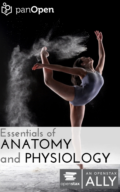 Essentials of Anatomy \u0026 Physiology 
