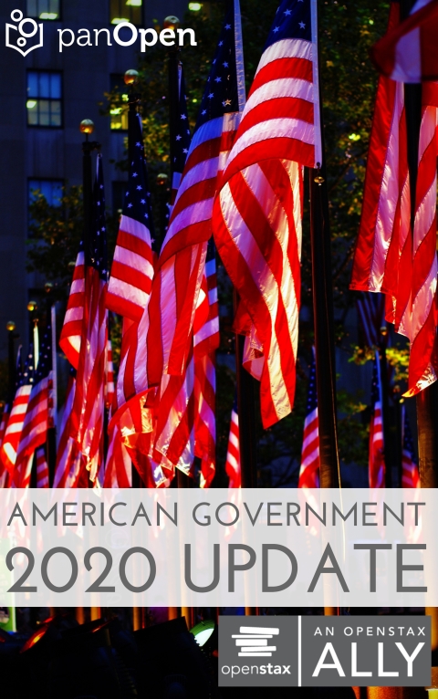American Government 2020 Update 