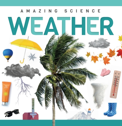 Cover image for book Weather