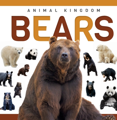 Cover image for book Bears