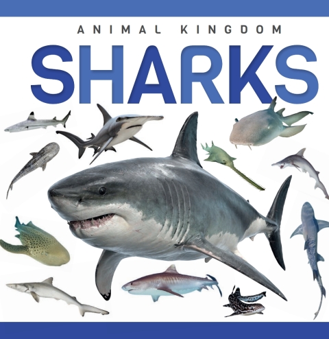 Cover image for book Sharks