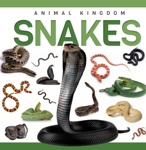 Cover image for book Snakes