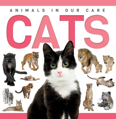 Cover image for book Cats