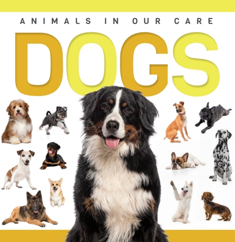 Cover image for book Dogs