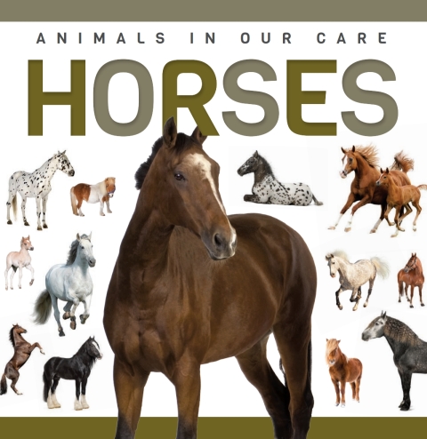 Cover image for book Horses