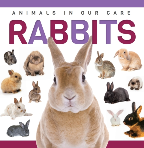 Cover image for book Rabbits
