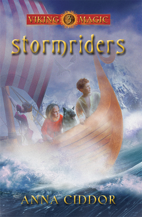 Cover image for book Stormriders