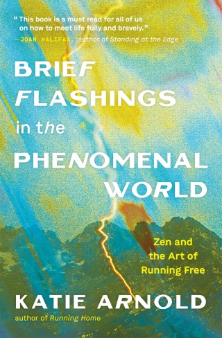 Brief Flashings in the Phenomenal World