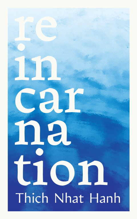 Cover image for book Reincarnation