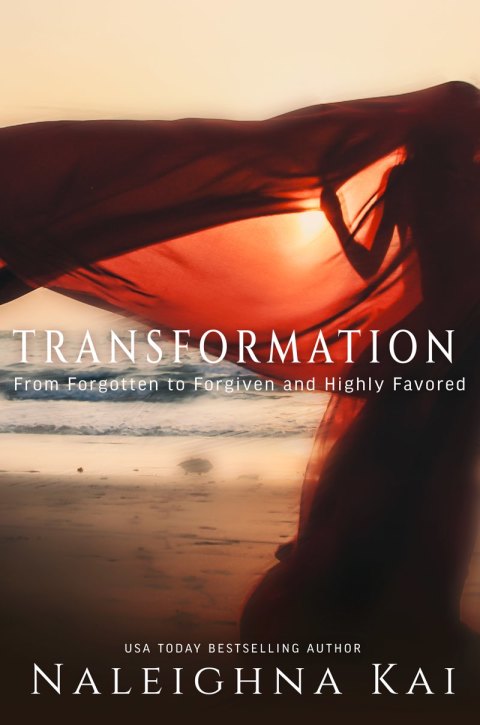 Cover image for book Transition