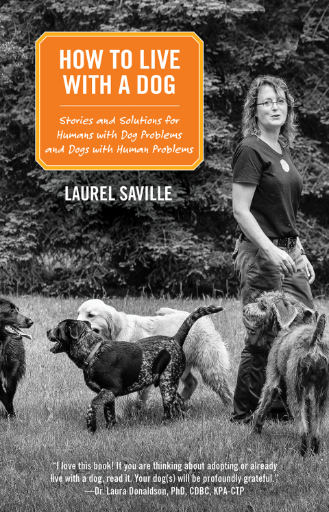 Cover image for book How to Live with a Dog