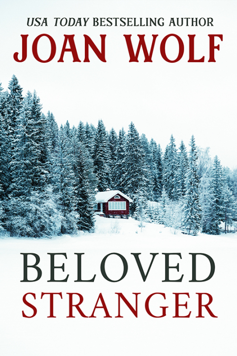 Cover image for book Beloved Stranger