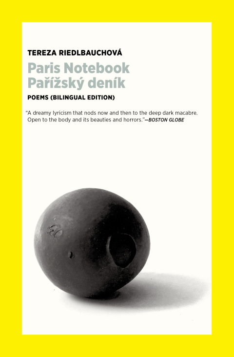 Cover image for book Paris Notebook