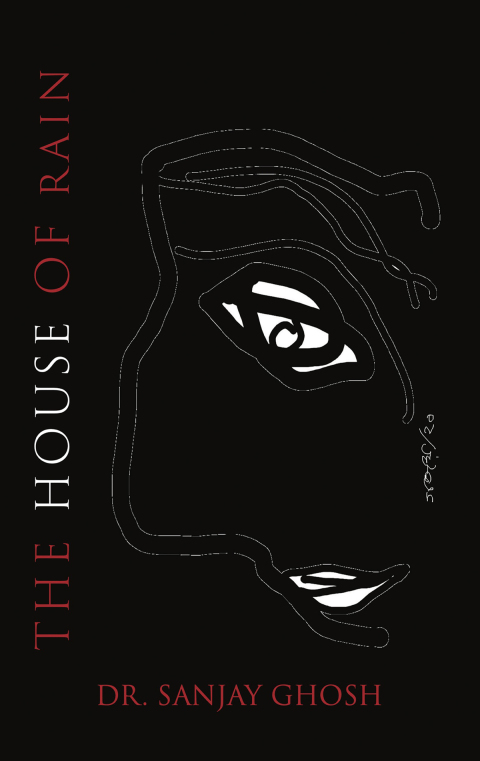 Cover image for book The House of Rain