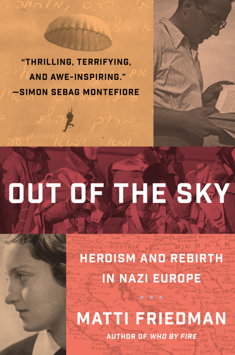 Cover image for book Out of the Sky
