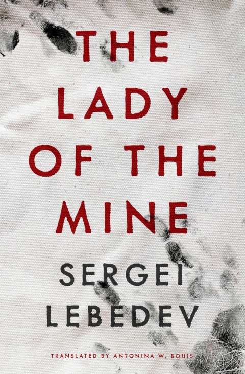 Cover image for book The Lady of the Mine