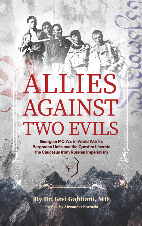 Cover image for book Allies Against Two Evils