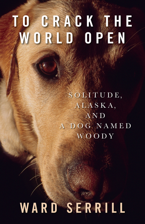 Cover image for book To Crack the World Open