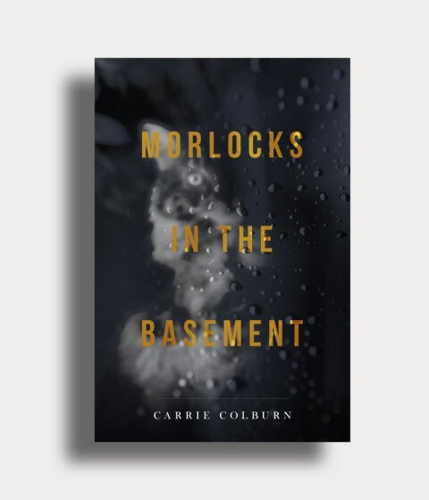 Cover image for book Morlocks in the Basement