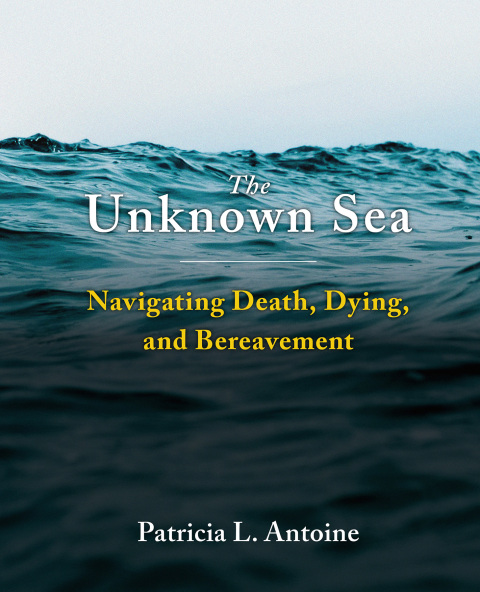 Cover image for book The Unknown Sea