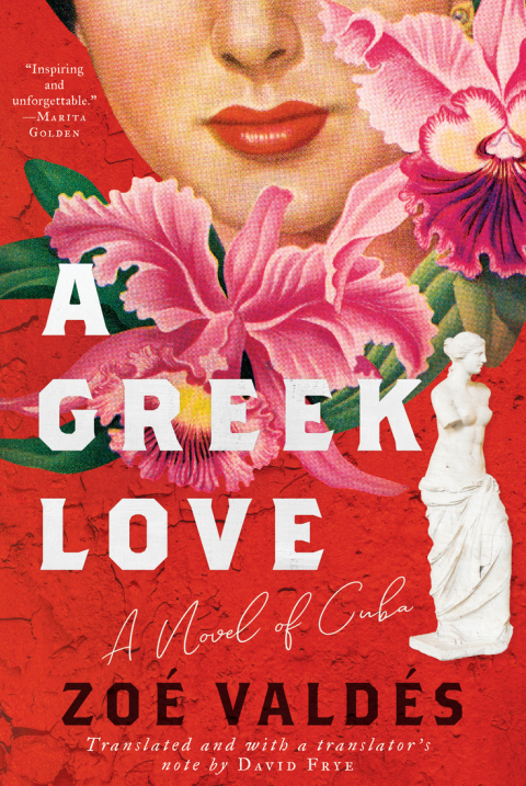 Cover image for book A Greek Love